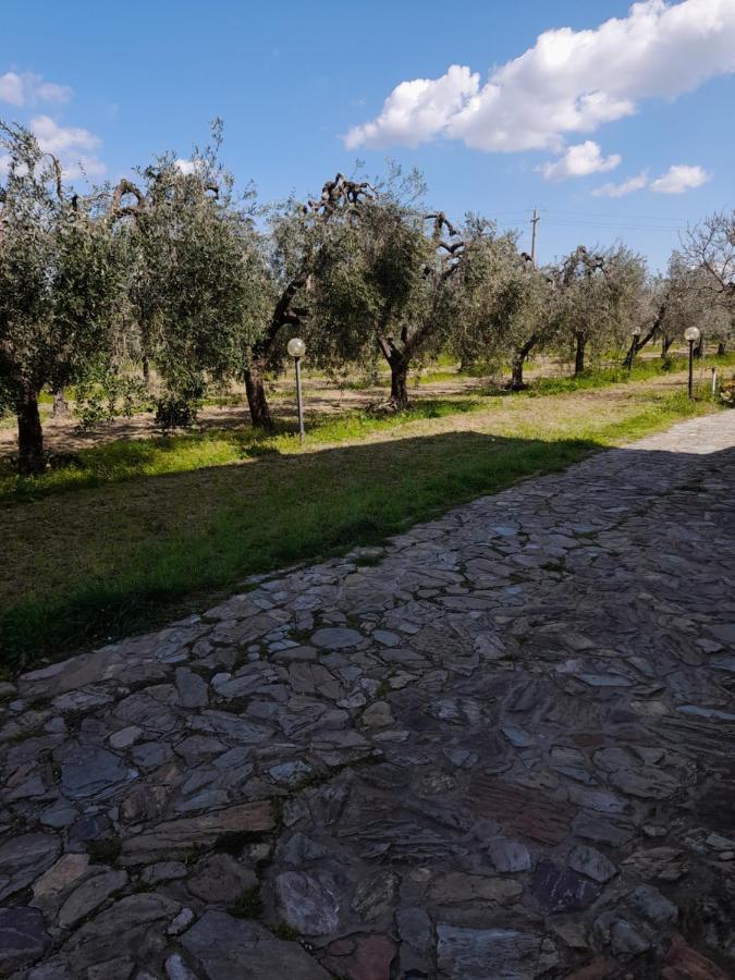 Holiday home Casa Framida *